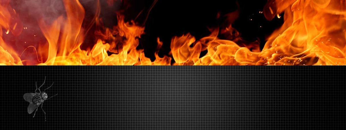 An image showcasing a backdrop of flames and smoke, emphasizing the power and chaos of fire.